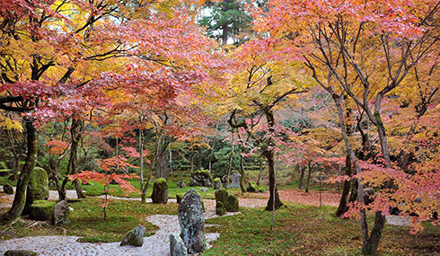 /material-alias/theme/japan/artimg/九州/天滿宮楓.jpg