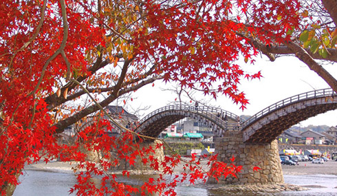 /material-alias/theme/japan/artimg/九州/錦帶橋-楓.jpg