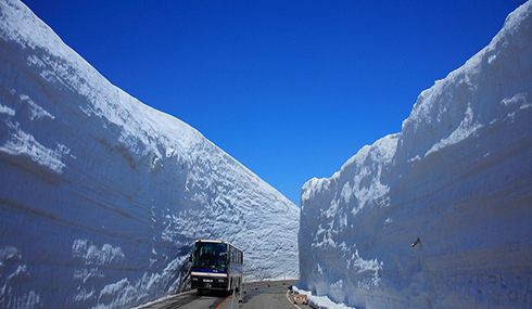 /material-alias/theme/japan/artimg/北陸/立山雪壁.jpg