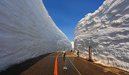 /material-alias/theme/japan/artimg/北陸/立山雪壁3.jpg