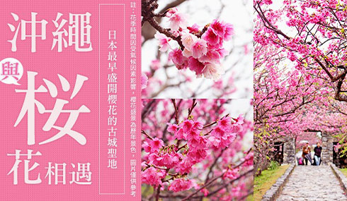 /material-alias/theme/japan/artimg/沖繩/490_285沖繩櫻花雄獅.jpg