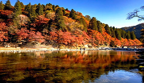 /material-alias/theme/japan/artimg/鐵道/490_285香嵐溪.jpg