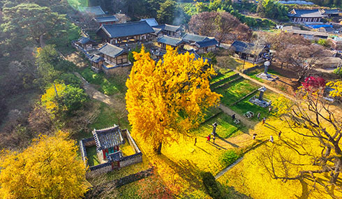 /material-alias/theme/korea/img/釜山/490_285道東書院.jpg