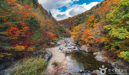 /material-alias/theme/korea/img/首爾/490_285五臺山國立公園.jpg