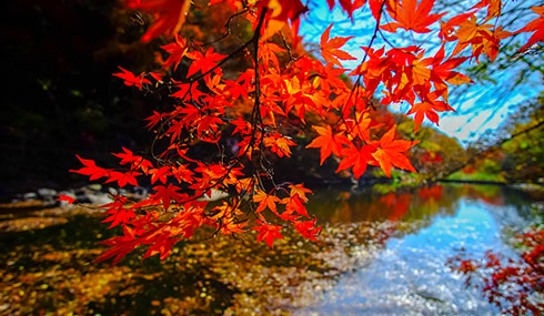 /material-alias/theme/korea/img/首爾/490_285內藏山13.jpg