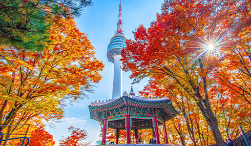 /material-alias/theme/korea/img/首爾/490_285首爾塔.jpg