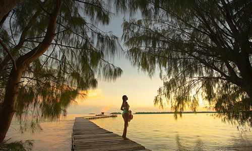 /material-alias/theme/palau/webpics/26009.jpg