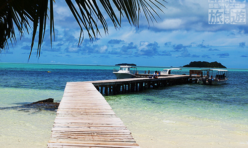 /material-alias/theme/palau/webpics/26074.jpg