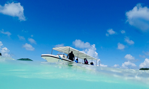 /material-alias/theme/palau/webpics/9077.jpg