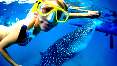 /material-alias/theme/philippines/boracay/img/鯨鯊02.jpg